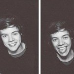 haroldsdarling - @haroldsdarling - Instagram
