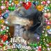 Harold Darrow - Facebook