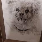 Harold Delaney - @delaney.harold - Instagram