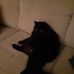 Harold Delaney - Facebook