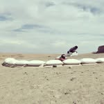 Harold Dennys - @harolddennysml - Instagram