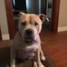 Harold Dowdy - Facebook