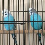 Harold Downs's - @downs.harold - Instagram