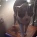 Harold Dunlap - Facebook