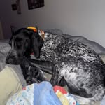 Oaklee harold Easley - @haroldoaklee - Instagram