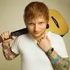 cabin 3 - @eddyxharold - TikTok