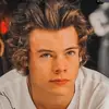 harry fan page - @harold_eddy_styles - TikTok