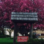 Harold Edelman - @edelmanharold - Instagram