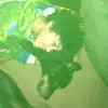 haroldelder - @haroldelder1 - TikTok