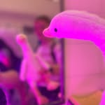 Harold - @harold.likes.fast.plants - Instagram