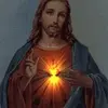 Harold Flowers - @harold.flowers3 - TikTok