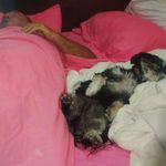 Harold Fraley Harold Fraley - @haroldfraleyharoldfraley - Instagram