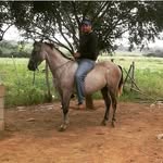 Harold frank Balza González - @haroldfrankbalza - Instagram