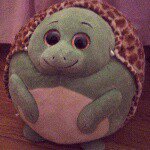 harold - @harold_da_funky_turtle - Instagram
