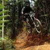 Harold Gallo - @harold.gallo6 - TikTok