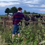 @haroldgall_ - Instagram