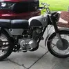 Harold Gerhold - @harold.gerhold - TikTok