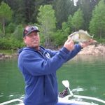 Harold C. Gustafson - @haroldc.gustafson - Instagram