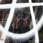 Harold Hadley - @haroldhadley - Instagram