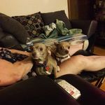 Harold Hallman - @hallman_jake - Instagram