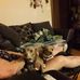 Harold Hallman - Facebook