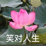 星野 - @haroldhand3 - Instagram