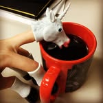 Harold B. Handicorn III - @haroldhandicorn - Instagram