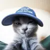 Harold Haney - @kyson_pratt559602 - TikTok