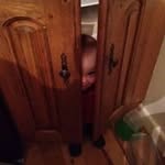 Harold Hannigan - @haroldhannigan - Instagram