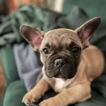 Harold - @harold_harry_d - Instagram