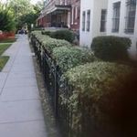 Harold Haskins - @haroldhaskins - Instagram