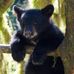 Harold Hazel - Facebook