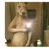 Harold Yaeggy - @haroldyaeggy - TikTok