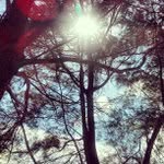 Harold Hedrick - @basepublue - Instagram
