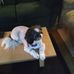 Harold Helton - Facebook