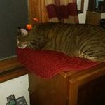 Harold Henson - @harold.henson - Instagram
