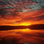 Harold Henson - @harold.henson.359 - Instagram