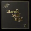 Forever - @haroldsaulhigh - TikTok
