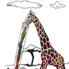 HIGH HARROLDS_OFFICIAL - @highharolds_official - TikTok