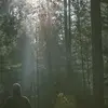 HaroldHinkle4647 - @haroldhinkle4647 - TikTok