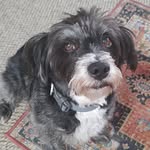 Harold Burkholder - @harold.burkholder - Instagram