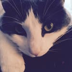 Patrice Braun - @haroldhook - Instagram