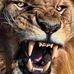 Harold Howard - Facebook
