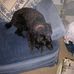 Harold Howard - Facebook