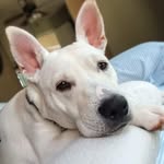 Harold Howie Chamberlain - @chamberlainharold - Instagram