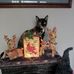 Harold Hubert - Facebook
