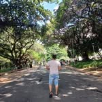 Harold Hurtado - @harold.hurtado.501 - Instagram