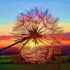Harold Isaac gnan - @harold.isaac.gnan - TikTok