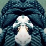 Harold Jasper - @bighammer.jasper - Instagram