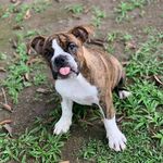 Harold Jimenez - @x.harold16 - Instagram